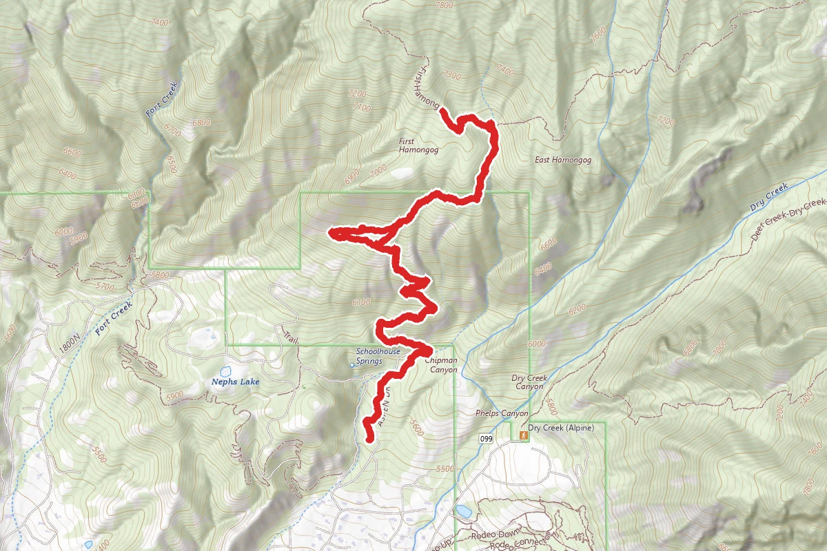 First Hamongog Trail