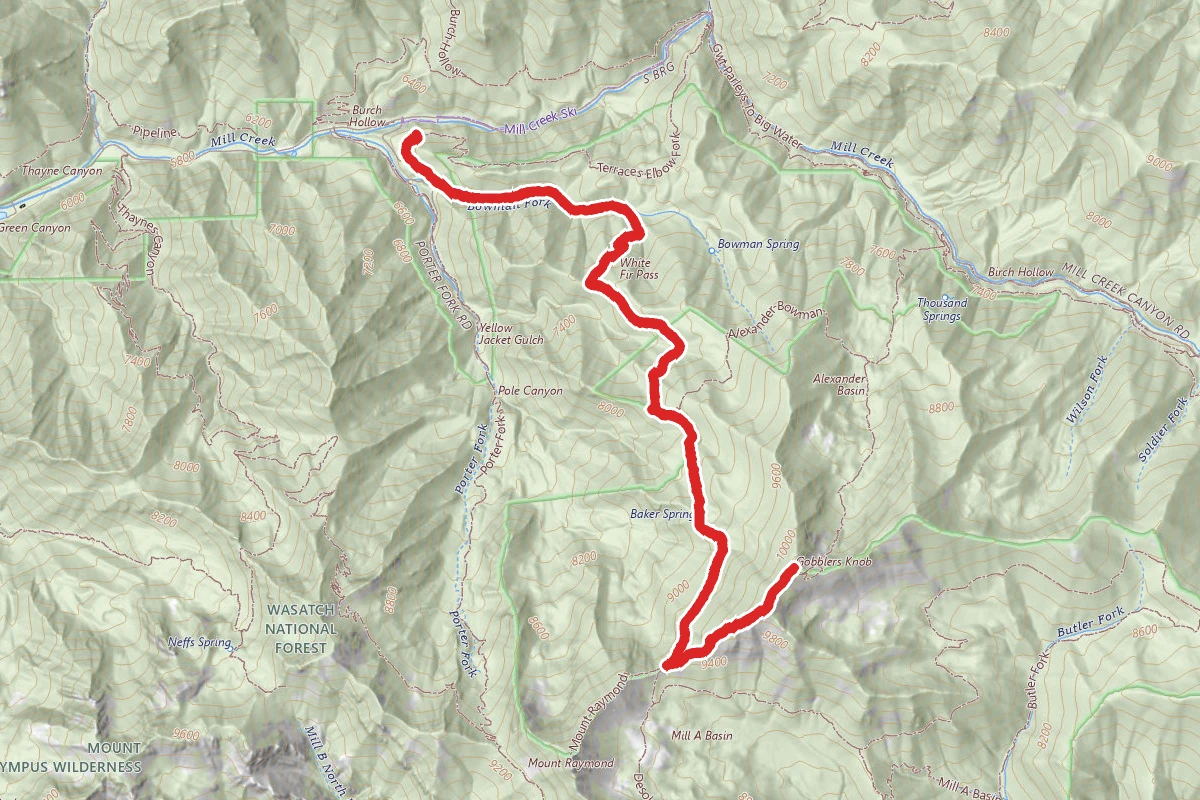Bowman Fork to Gobblers Knob Trail