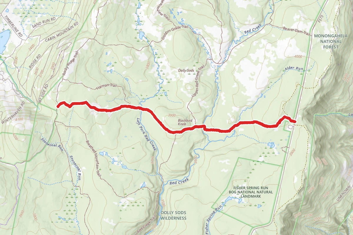 Blackbird Knob Trail
