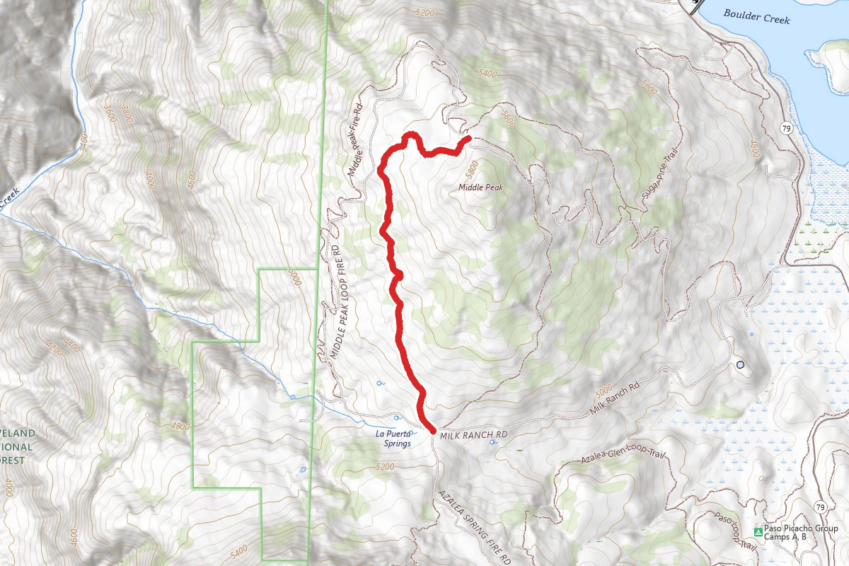 Black Oak Trail