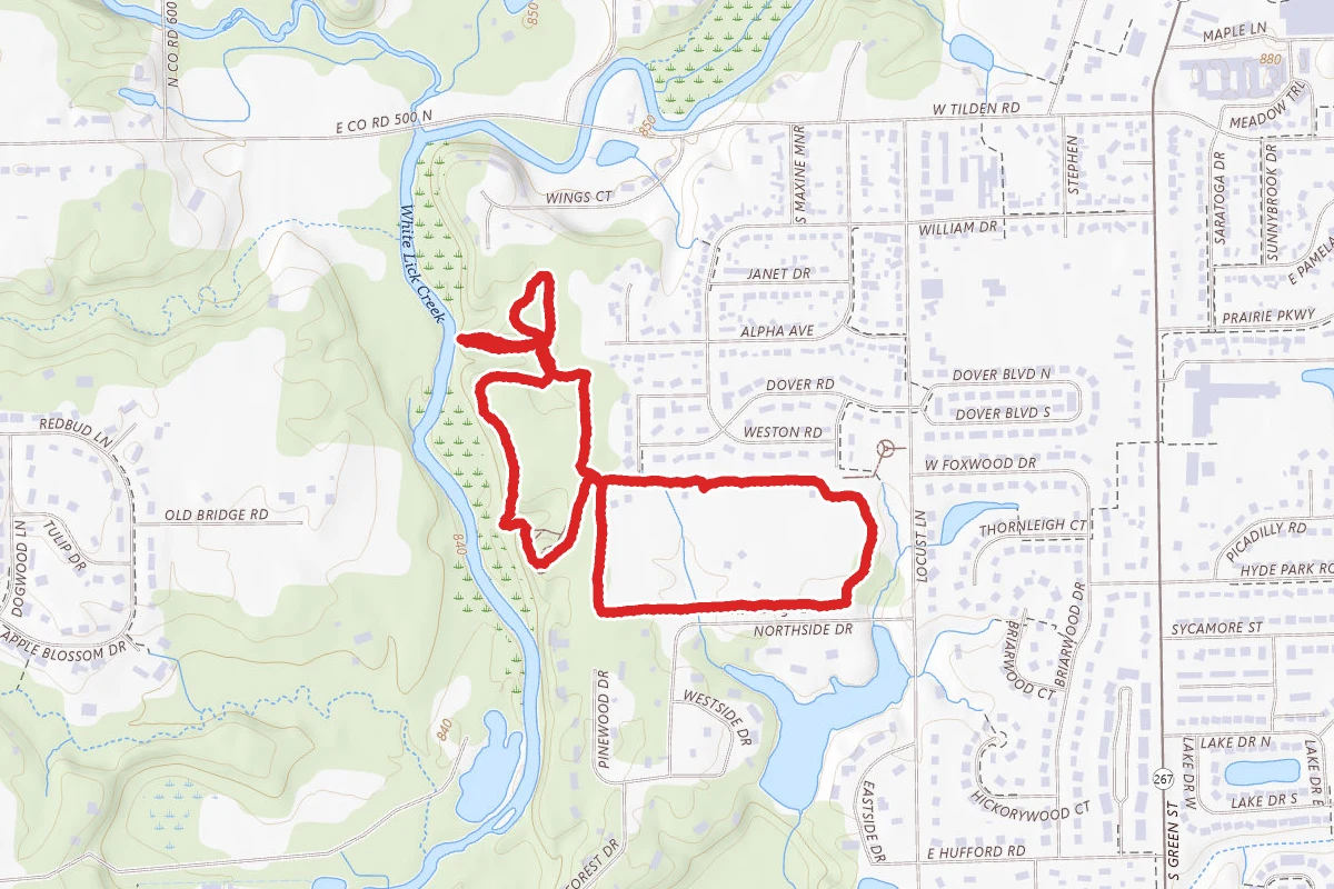 Williams Park Trails
