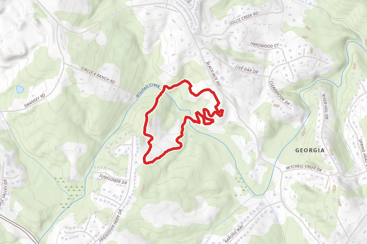 Williams Mill Greenspace Perimeter Loop