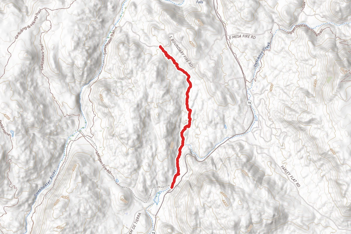 Blue Ribbon Trail