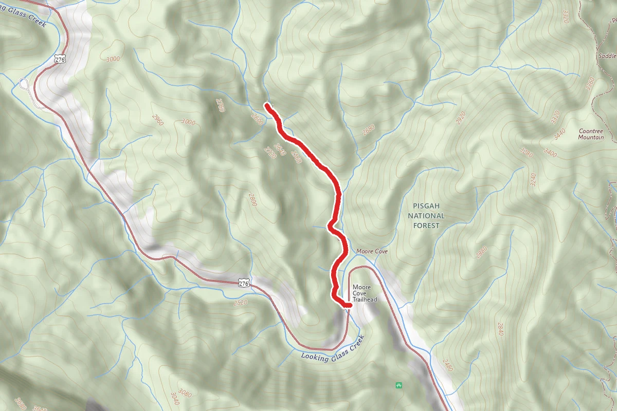 Moore Cove Falls Trail