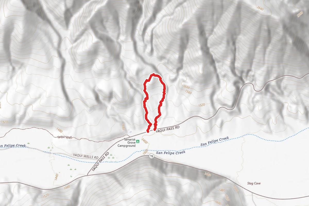 Cactus Loop Trail