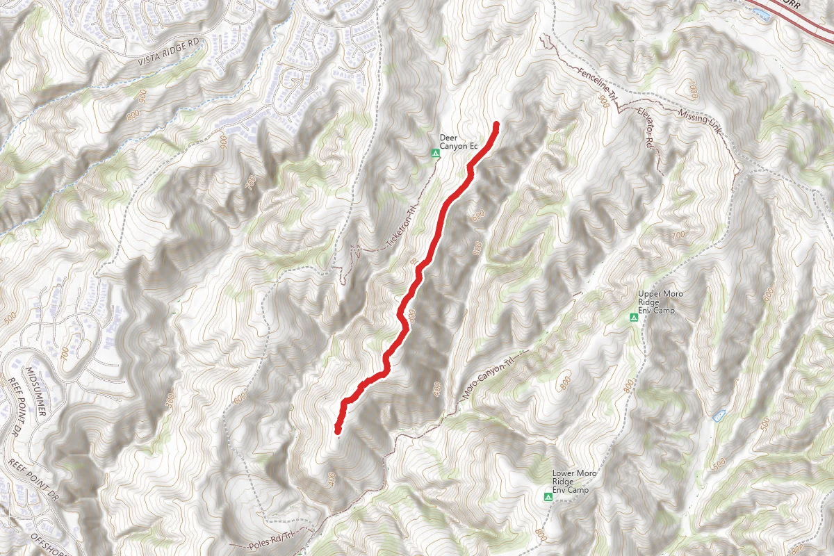 Rattlesnake Trail