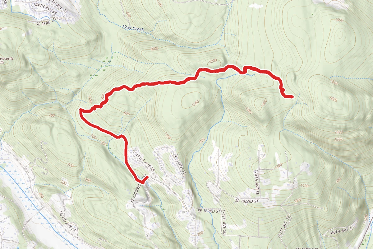 Shy Bear Trail