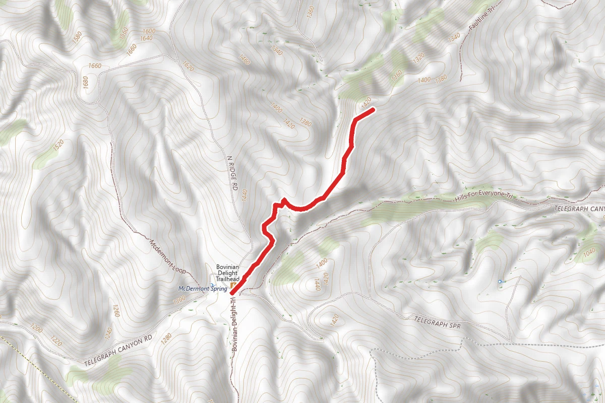 Raptor Ridge Trail