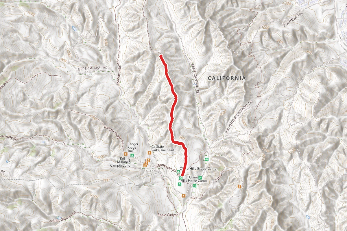 Bane Ridge Trail