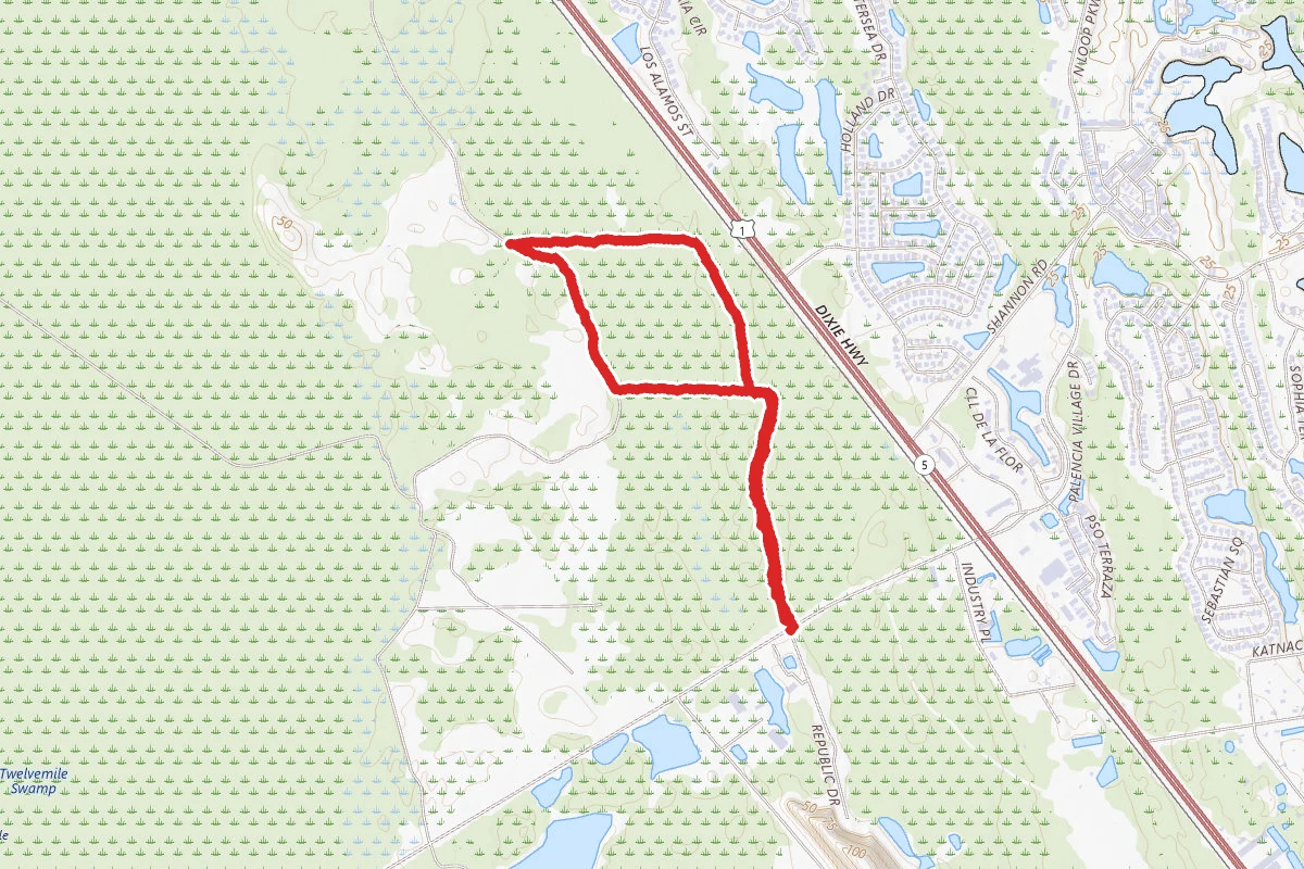 Twelve Mile Swamp Conservation Area Trail