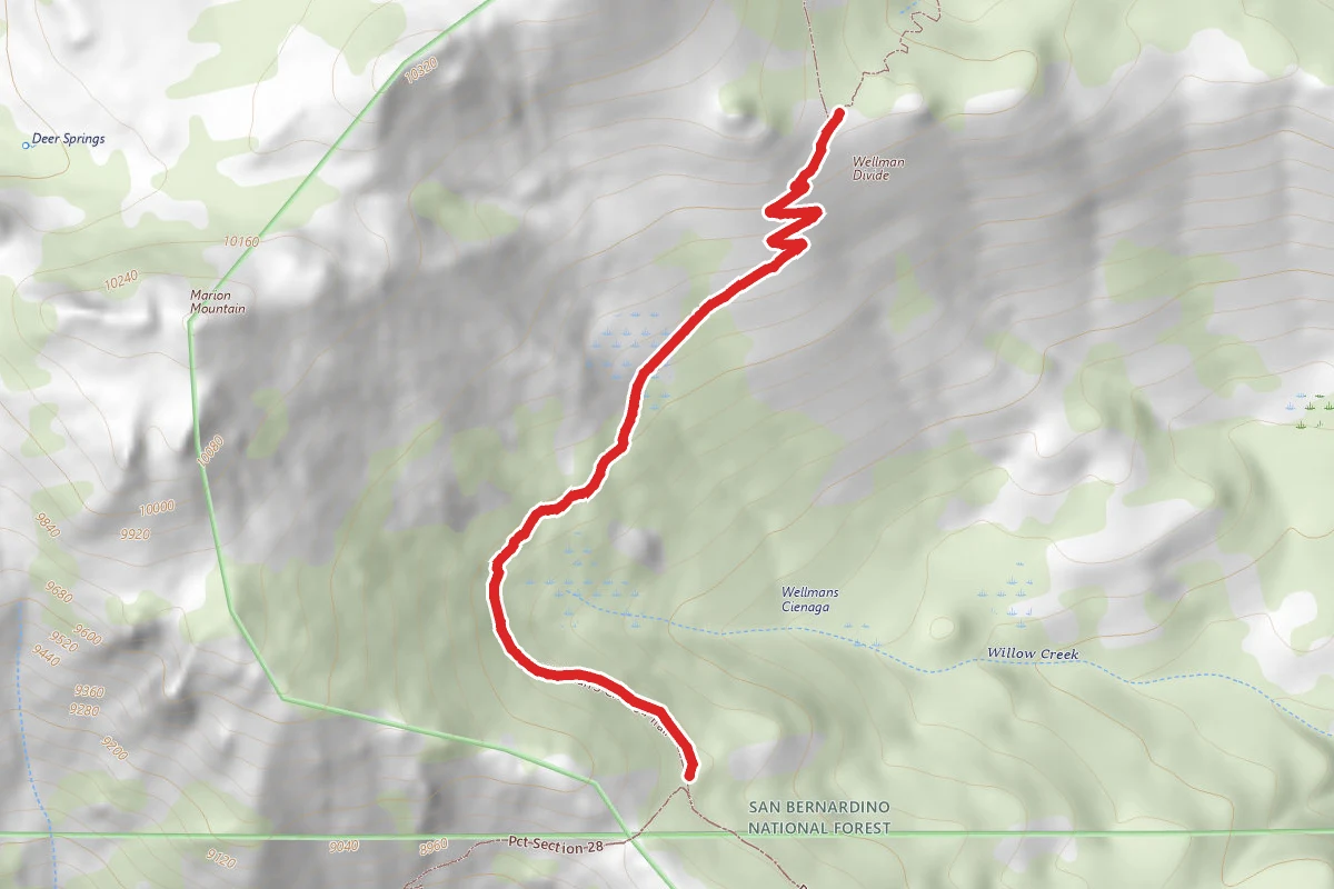 Wellman's Cienaga Trail