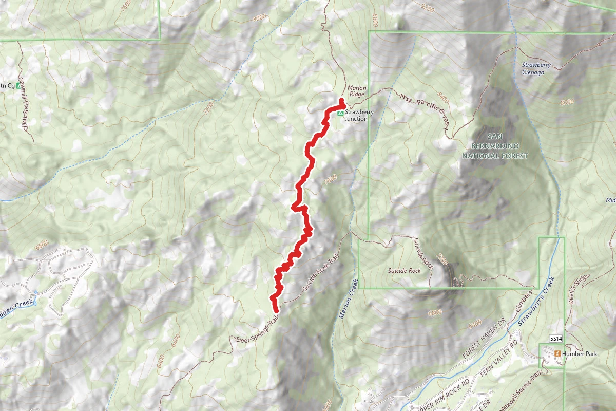 Deer Springs Trail