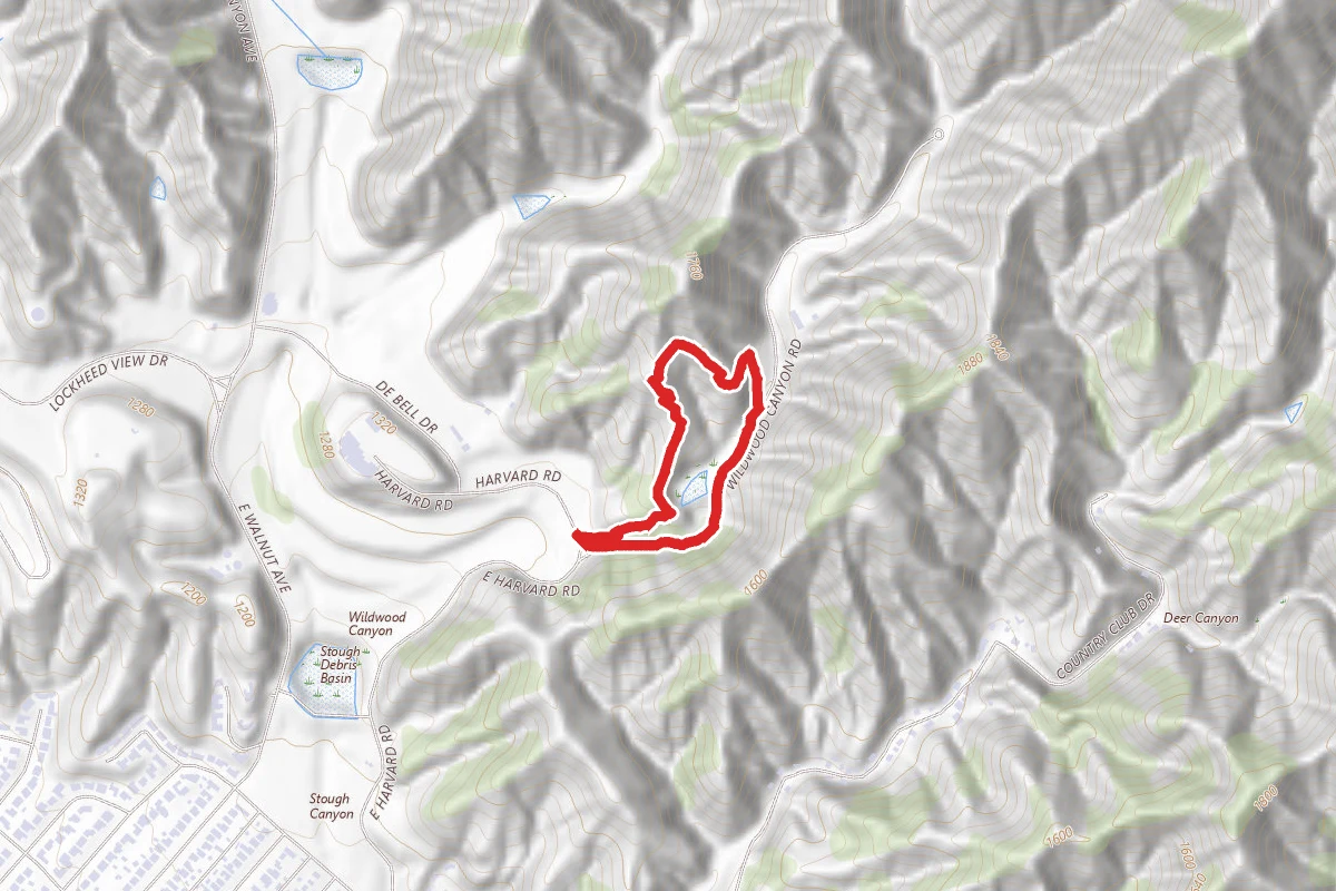 Wildwood Little Loop