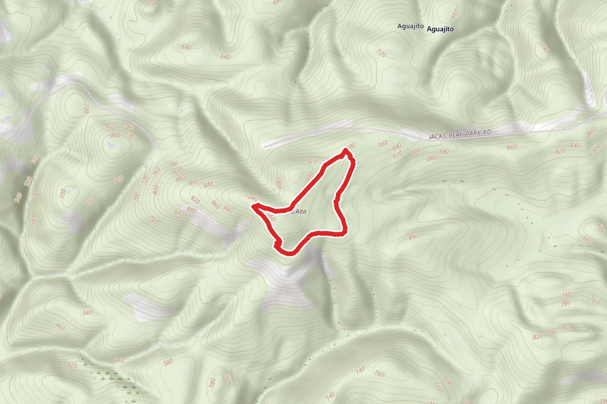 Jack's Peak and Skyline Trail