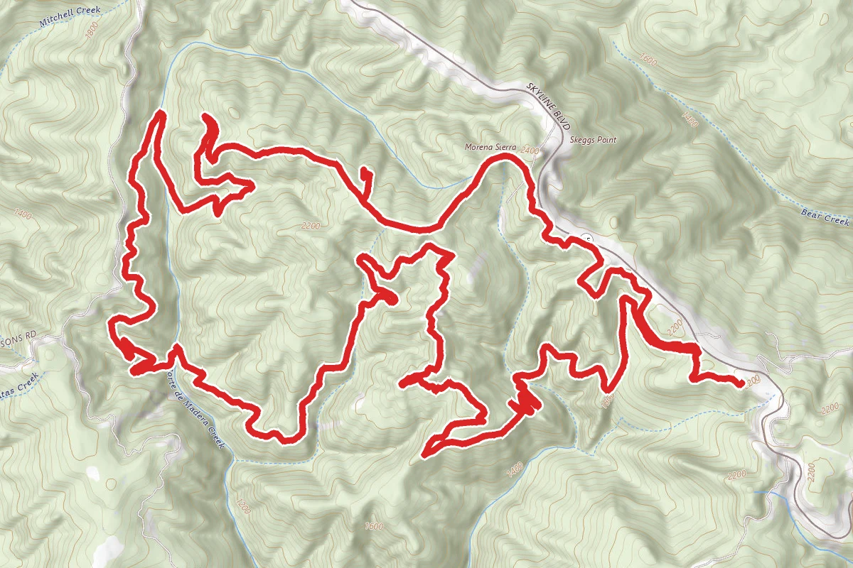 El Corte De Madera Loop- Tafoni Trail, Methuselah Trail, Gordon Mill Trail