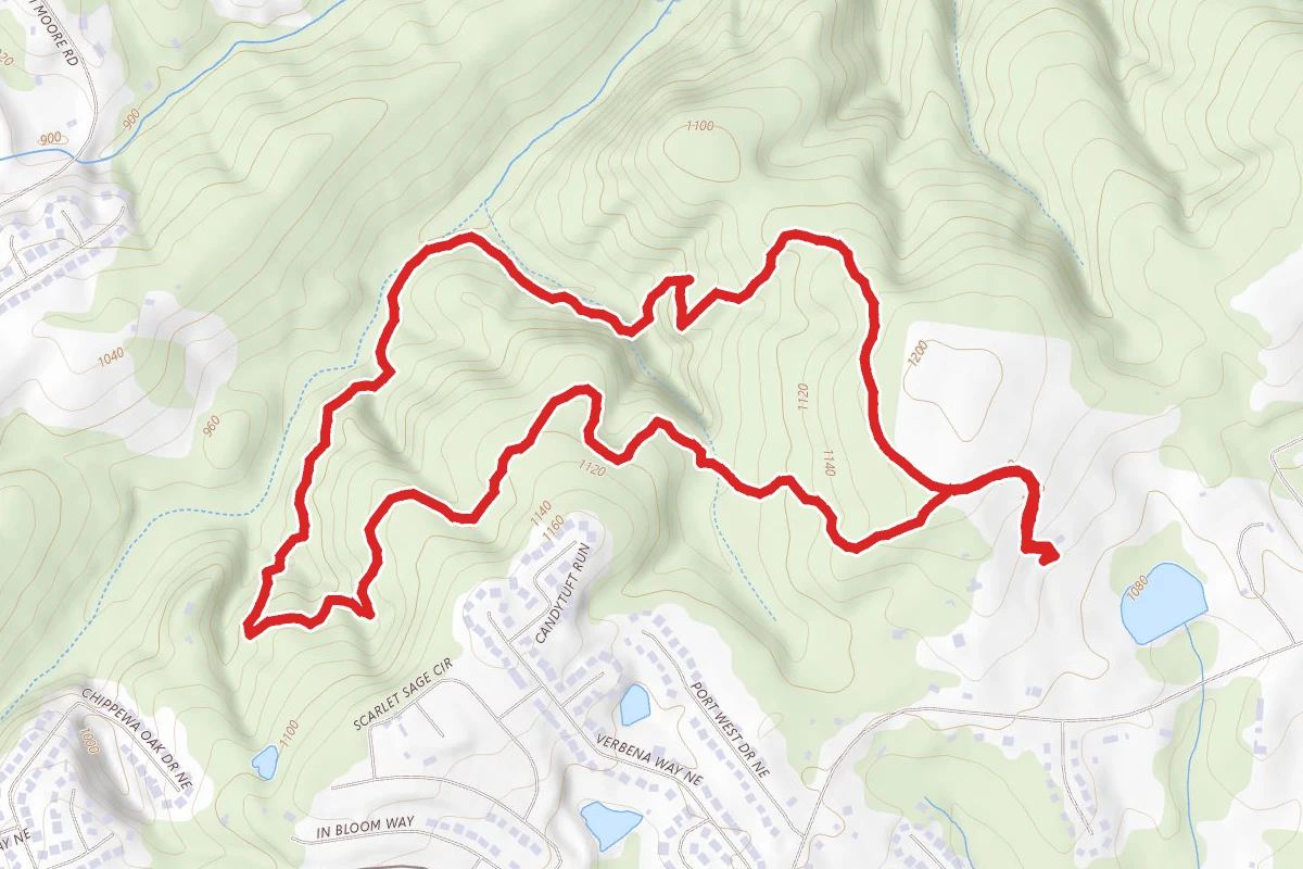 Ravine and West Meadow Loop