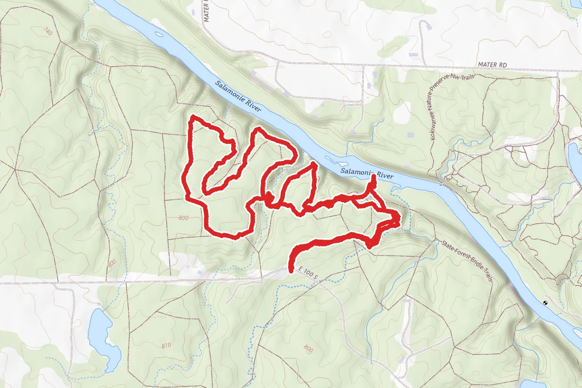 Salamonie River State Forest Park Loop