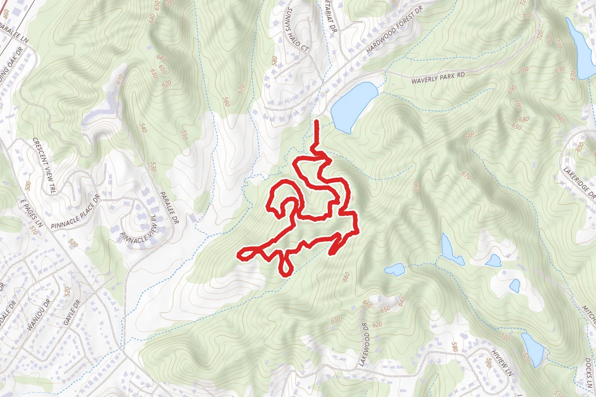 Twisty Trail Loop