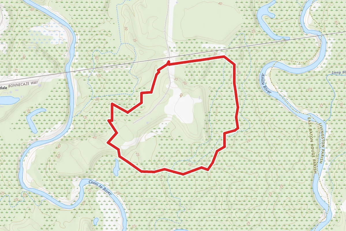 Hardwood Forest Loop Trail