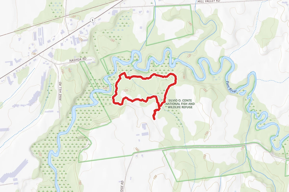 Fort River Birding and Nature Trail
