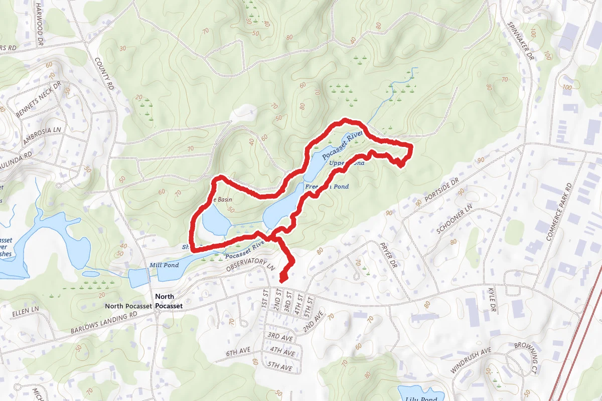 Town Forest Tour Trail