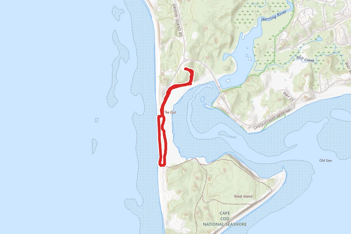 Great Island Trail and The Gut