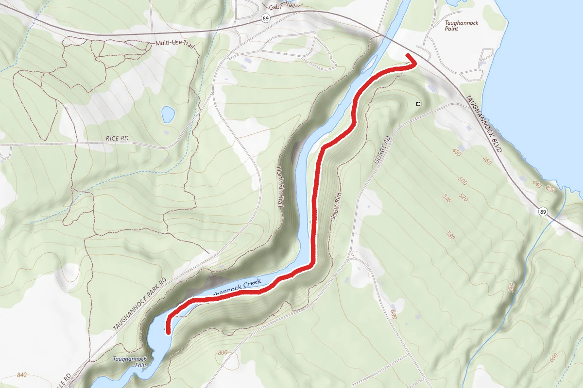 Taughannock Falls via Gorge Trail