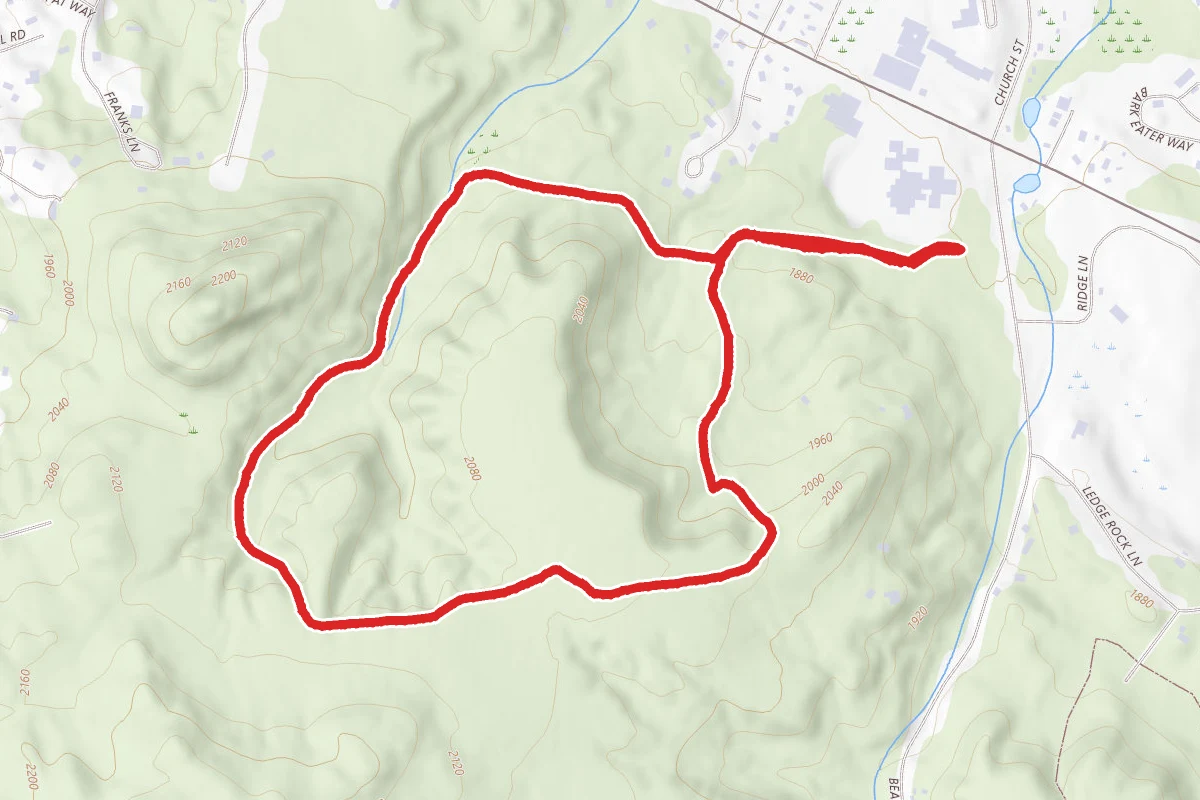 Henry's Woods Loop Trail