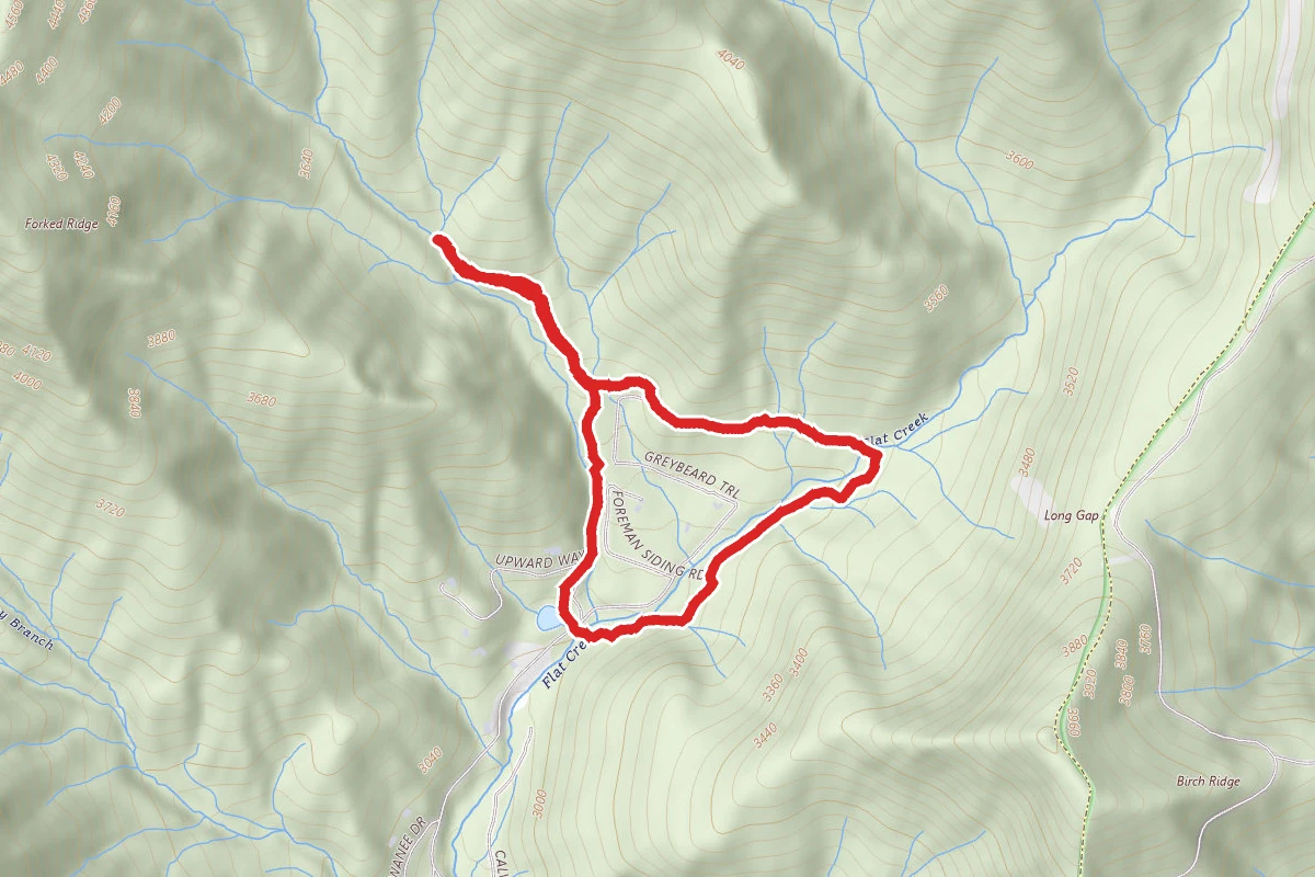 Harry Byran Trail Loop