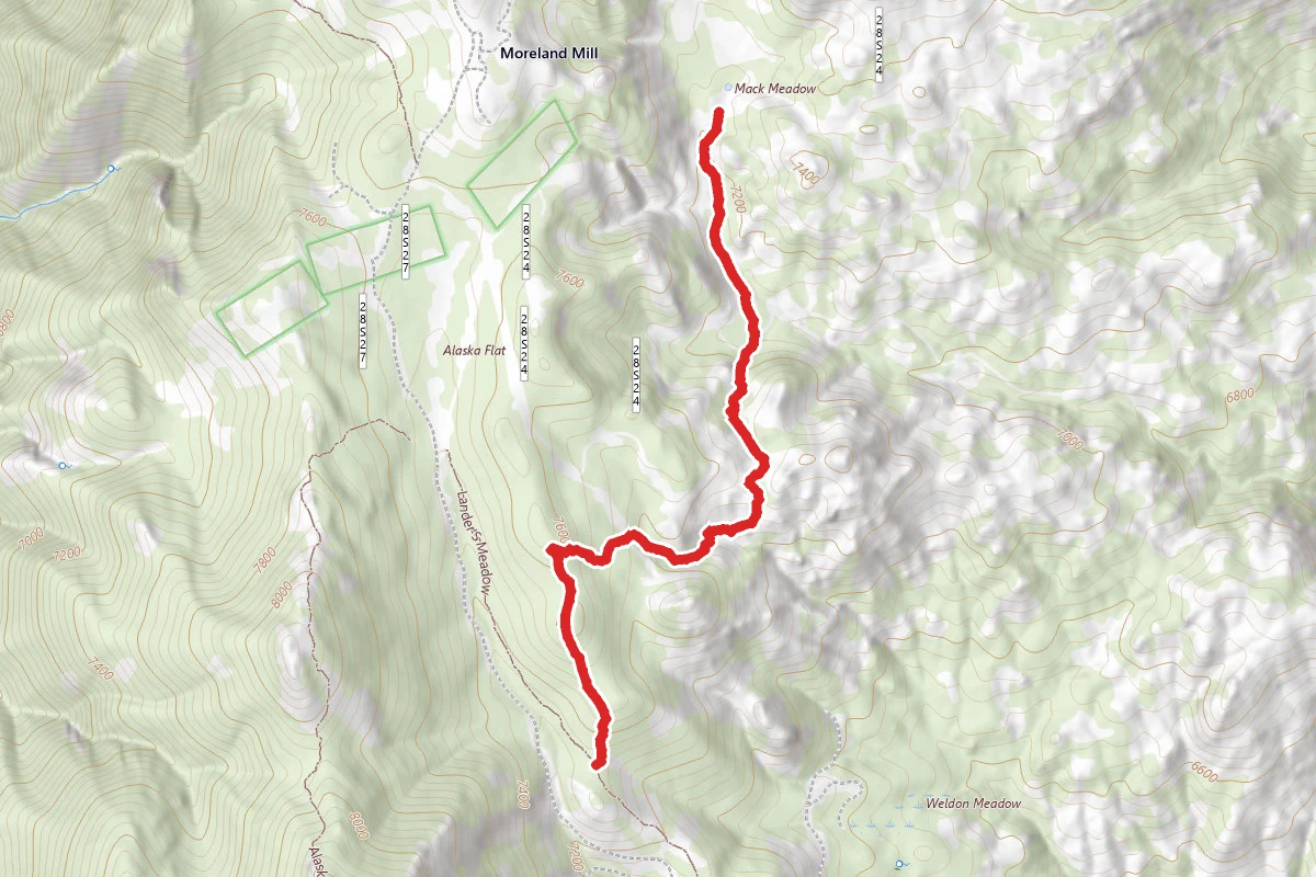 Mack Meadow TR 44