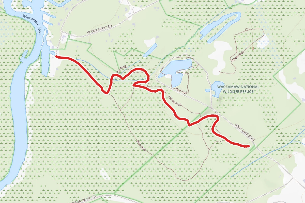 Waccamaw Wildlife Refuge Trail