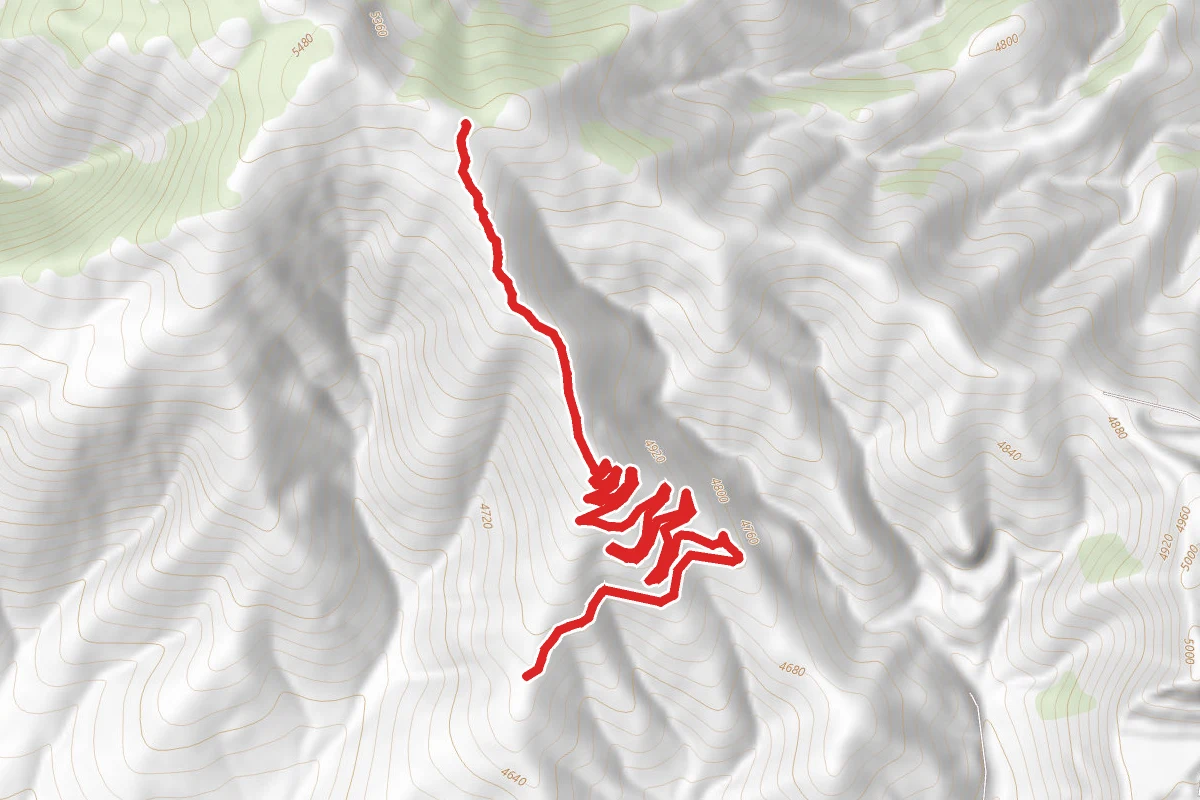To The Top
