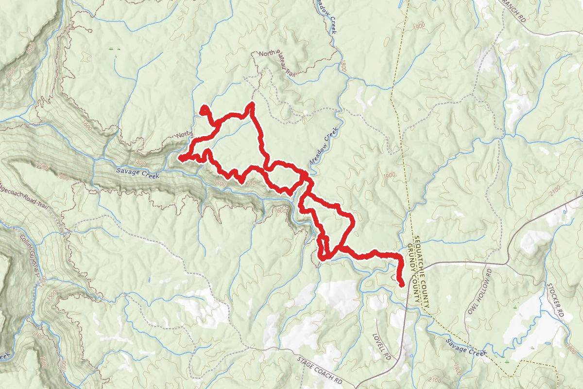 Savage Gulf Mountain Oak Loop Trail