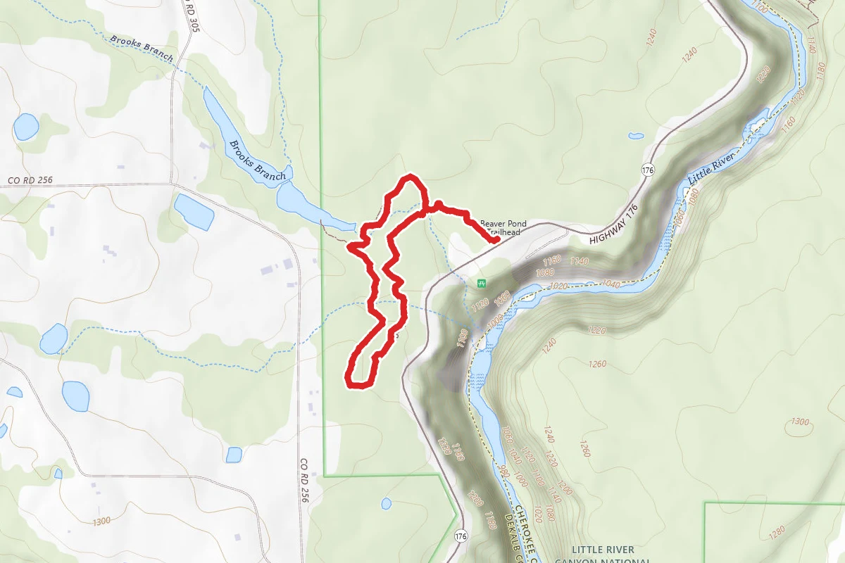 Beaver Pond Trail