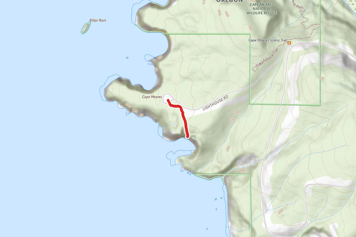 Octopus Tree Trail