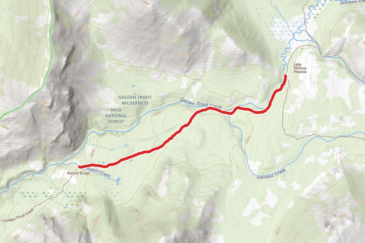 Golden Trout Creek Trail