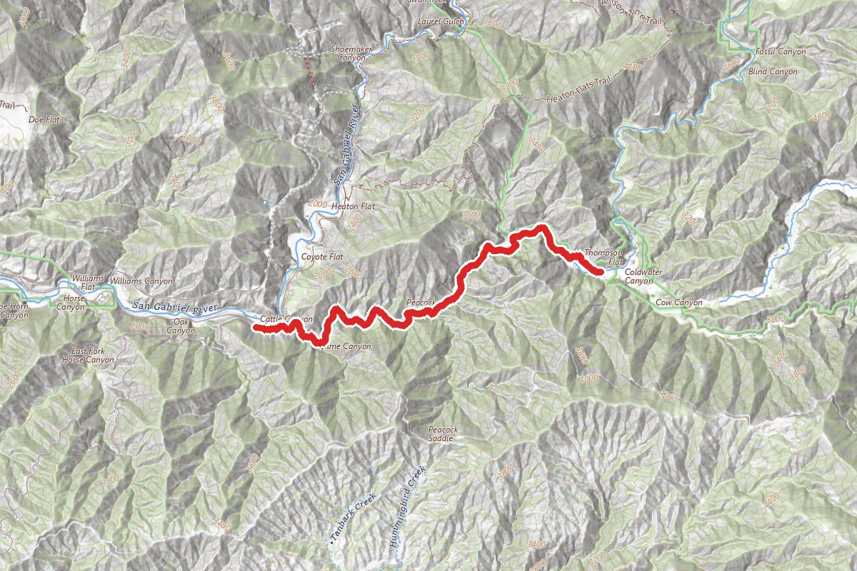 Cattle Canyon Trail