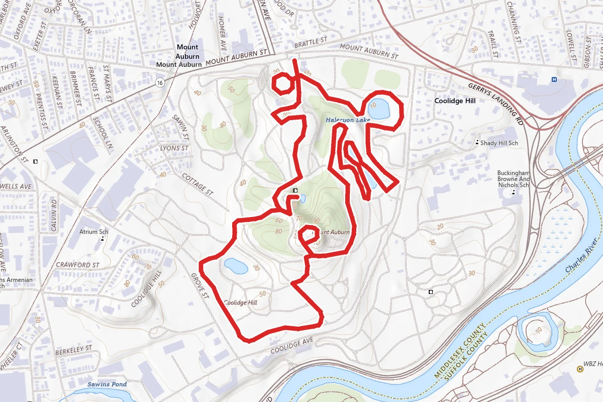 Mount Auburn Cemetery Trail