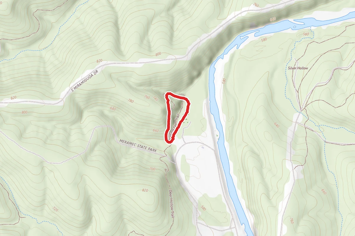 Walking Fern Trail