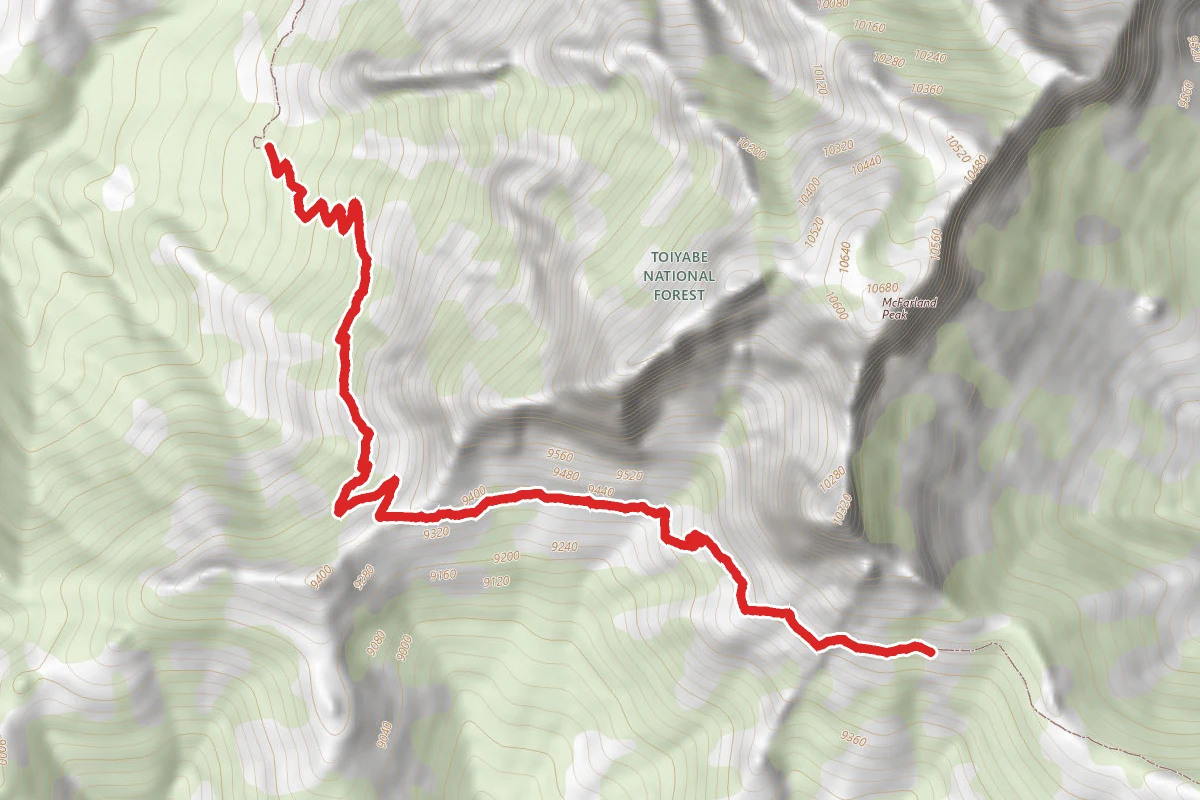 Bonanza Trail