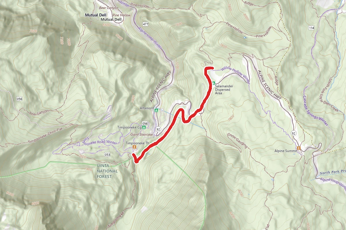 Salamander Flat Trail 150