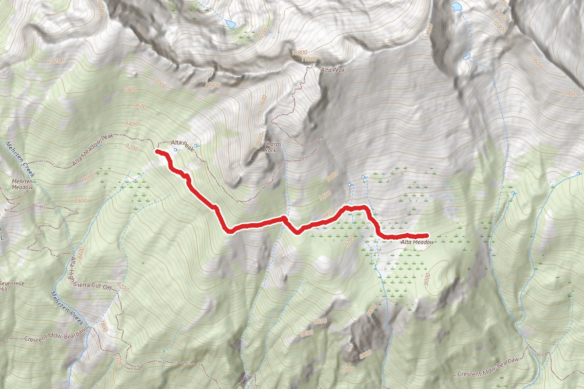 Alta Meadow Trail