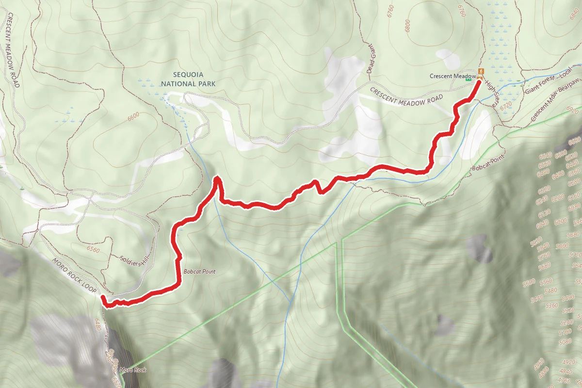Sugar Pine Trail