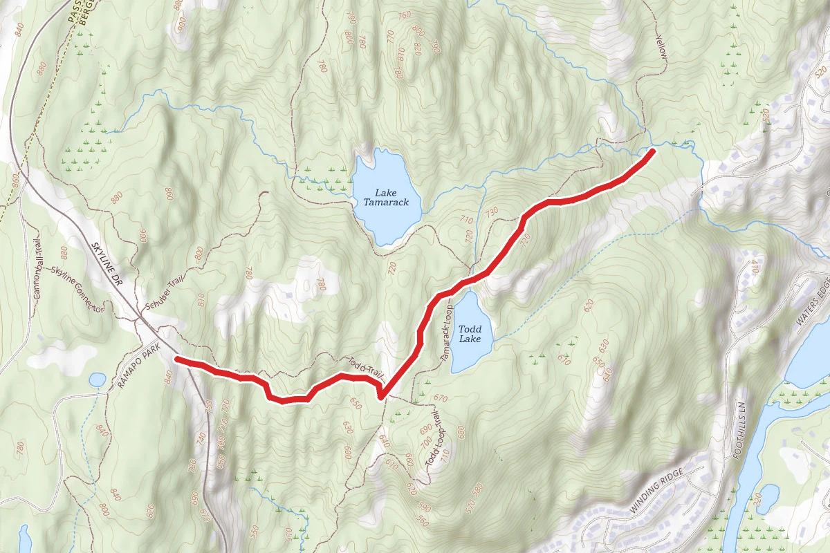 Ramapo Overlook to Lake Todd and Waterfall Trail
