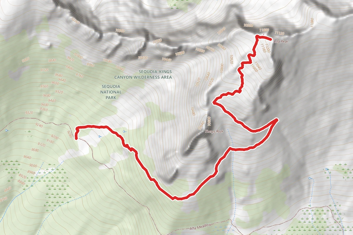 Alta Peak Trail