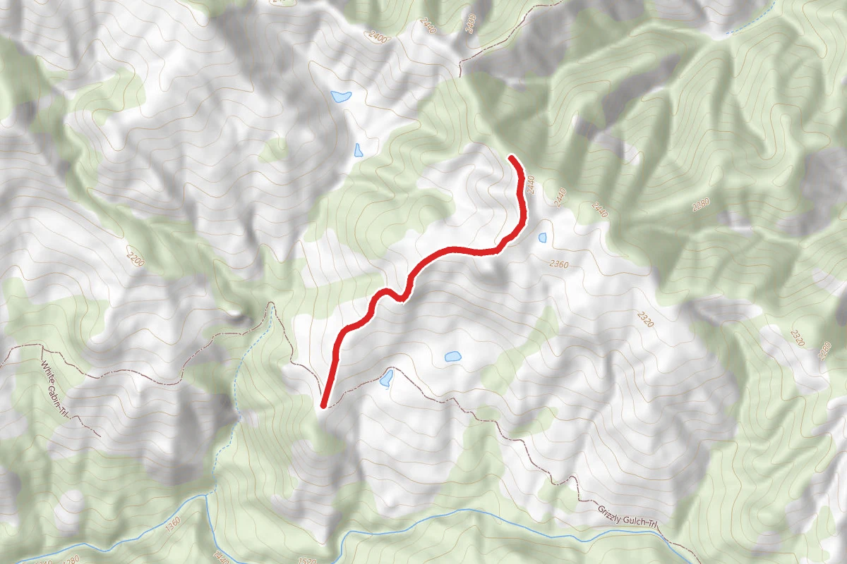 Dexter Trail