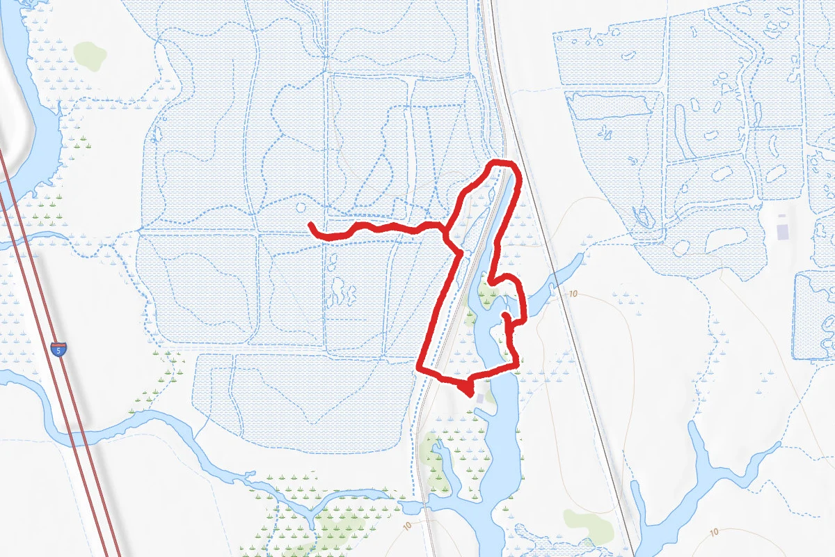 Wetlands Walk to Boardwalk Loop