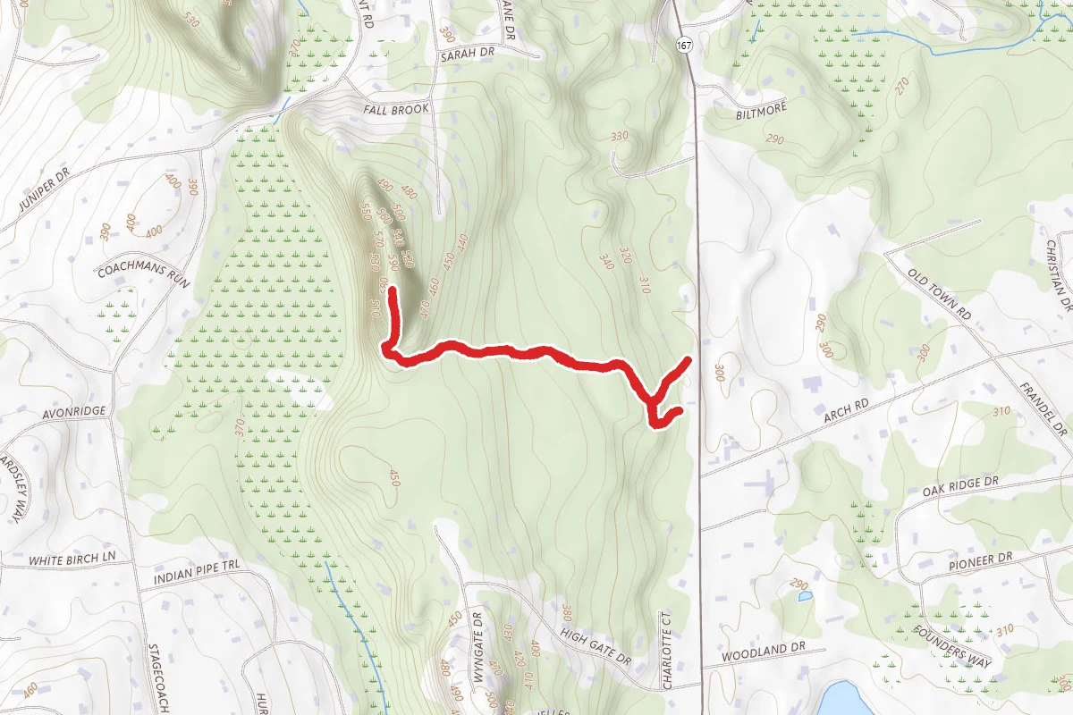 Horse Guard White Trail