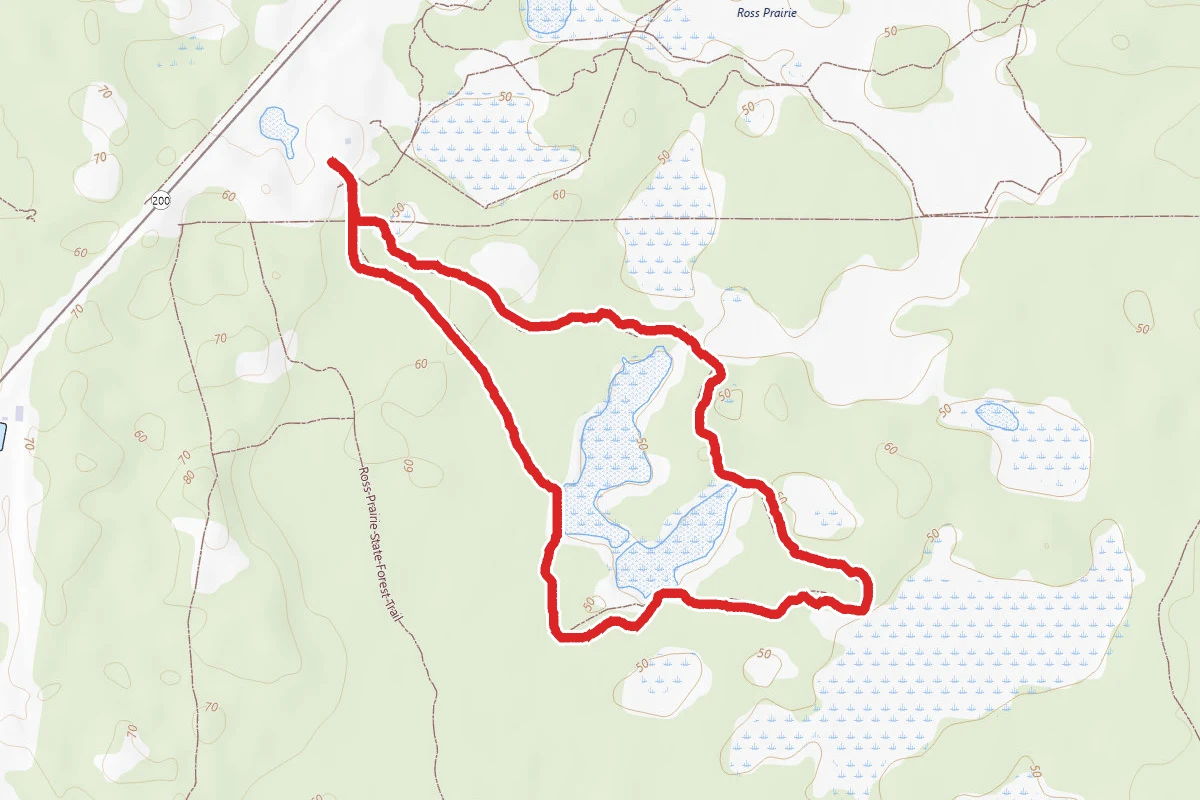 Holly Hammock Trail