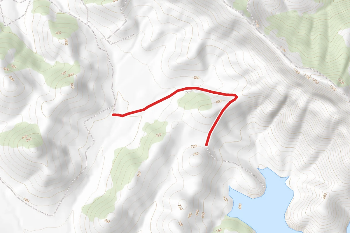 Badger Pass